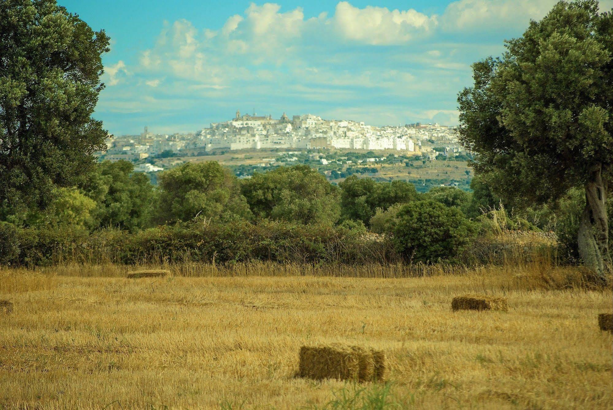 Masseria Palombara Grande Ostuni Bagian luar foto