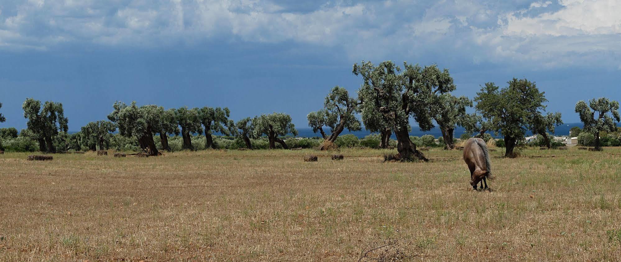 Masseria Palombara Grande Ostuni Bagian luar foto